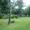 Grill- und Bolzplatz mit Spielwagen