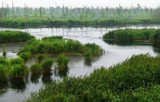 Flusslandschaft an der Peene Flusslandschaft an der Peene
